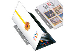 Opbergstrip Djois filestrip 125mm 2rings transparant 50 stuks