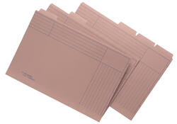 Sorteermap Jalema folio 5 vakken met tabs 300gr chamois