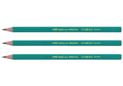 Potlood Bic Evolution ecolutions 650 zeshoekig HB