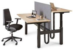 S-Line Bench