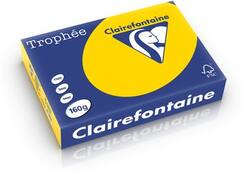 Kopieerpapier Clairefontaine Trophee 80gr goudgeel A4