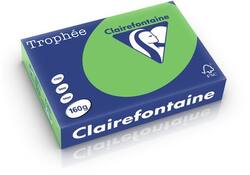 Kopieerpapier Clairefontaine Trophee intensief 80gr A4 grasgroen